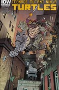 TEENAGE MUTANT NINJA TURTLES #39 