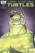 TEENAGE MUTANT NINJA TURTLES #38 
