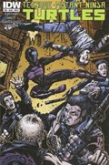 TEENAGE MUTANT NINJA TURTLES #38B 