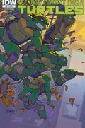 TEENAGE MUTANT NINJA TURTLES #48-RI 