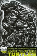 TEENAGE MUTANT NINJA TURTLES #50-RI 