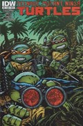 TEENAGE MUTANT NINJA TURTLES #43B 