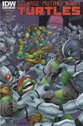 TEENAGE MUTANT NINJA TURTLES #43 