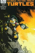 TEENAGE MUTANT NINJA TURTLES #45-RI 