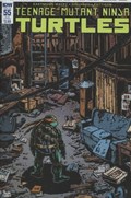 TEENAGE MUTANT NINJA TURTLES #55-SUB 