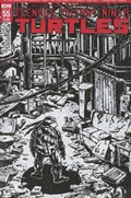 TEENAGE MUTANT NINJA TURTLES #55-2nd 