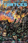 TEENAGE MUTANT NINJA TURTLES #74B 