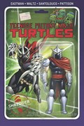 TEENAGE MUTANT NINJA TURTLES #50-BLIND 
