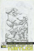 TEENAGE MUTANT NINJA TURTLES #50-SDCAG 