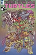 TEENAGE MUTANT NINJA TURTLES #67-UNKN 