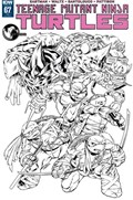 TEENAGE MUTANT NINJA TURTLES #67-UNKN-B 