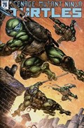 TEENAGE MUTANT NINJA TURTLES #76-RI-B 