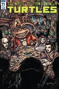TEENAGE MUTANT NINJA TURTLES #71-SUB 
