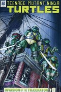 TEENAGE MUTANT NINJA TURTLES #80-RI 
