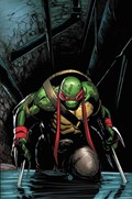 TEENAGE MUTANT NINJA TURTLES #75-PLAC 