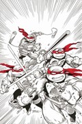 TEENAGE MUTANT NINJA TURTLES #75-PLAC-D 