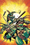 TEENAGE MUTANT NINJA TURTLES #75-PLAC-C 