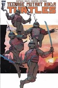 TEENAGE MUTANT NINJA TURTLES #87-RI 