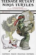 TEENAGE MUTANT NINJA TURTLES #89-RI 