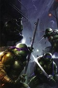 TEENAGE MUTANT NINJA TURTLES #80-FRANK-B 