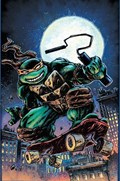 TEENAGE MUTANT NINJA TURTLES #80-PLAC 