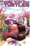 TEENAGE MUTANT NINJA TURTLES #95-RI 