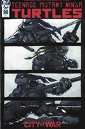 TEENAGE MUTANT NINJA TURTLES #96-RI 