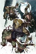 TEENAGE MUTANT NINJA TURTLES #100-BTCSC 