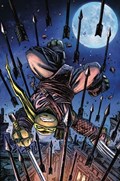 TEENAGE MUTANT NINJA TURTLES #100-PLAC-H 