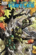 TEENAGE MUTANT NINJA TURTLES #29 
