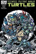 TEENAGE MUTANT NINJA TURTLES #16-RI 
