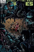 TEENAGE MUTANT NINJA TURTLES #17B 