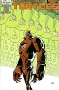 TEENAGE MUTANT NINJA TURTLES #17-RI 