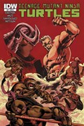 TEENAGE MUTANT NINJA TURTLES #27-RI 