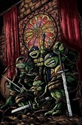 TEENAGE MUTANT NINJA TURTLES #21-COFOL 
