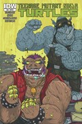 TEENAGE MUTANT NINJA TURTLES #28-RI 