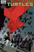 TEENAGE MUTANT NINJA TURTLES #22-RI 