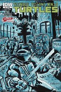 TEENAGE MUTANT NINJA TURTLES #23-JETP 
