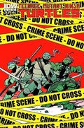 TEENAGE MUTANT NINJA TURTLES #15 
