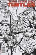 TEENAGE MUTANT NINJA TURTLES #3-RI 