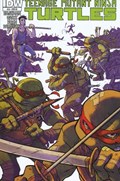 TEENAGE MUTANT NINJA TURTLES #14-RI 