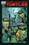 TEENAGE MUTANT NINJA TURTLES #3C 