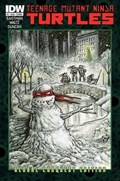 TEENAGE MUTANT NINJA TURTLES #5 