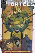 TEENAGE MUTANT NINJA TURTLES #6-RI 