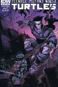 TEENAGE MUTANT NINJA TURTLES #6-RI-B 
