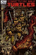 TEENAGE MUTANT NINJA TURTLES #8B 