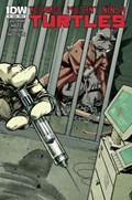 TEENAGE MUTANT NINJA TURTLES #9 