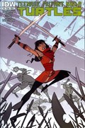 TEENAGE MUTANT NINJA TURTLES #13 