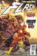 THE FLASH #14 