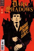 DARK SHADOWS #4 